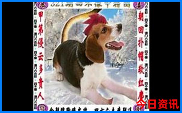 夏天出游的好去处